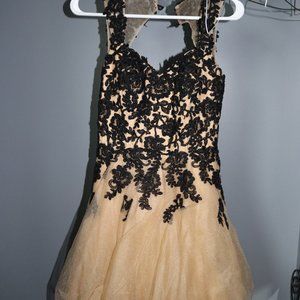 Gold and Black Lace Dress